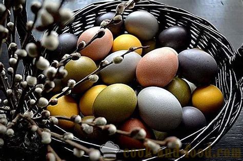kato metodas kiaušiniams kirminas kaip dovanoti